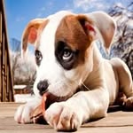 Debbie Vickers - @vickers2250 - Instagram
