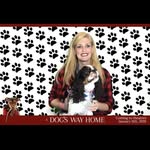 Debbie Viney - @king_jerry_lee - Instagram