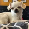 Debi Volk - @debi.volk4 - TikTok