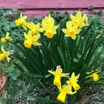 Debbie Wainwright Pribell - @deb1nj - Instagram