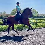 Debbie Wake - @debbie.wake.94 - Instagram