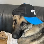 Debbie Wasilewski-Wake - @wasilewskiwake - Instagram