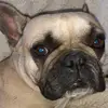seasidedebbie - @debbiewakeling737 - TikTok