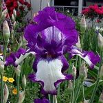 Debbie Waller - @debbie.waller.165 - Instagram