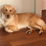 Debbie Waller - @_the_insta_gram_ - Instagram