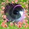 Debbie Walter - @debbie.walter - TikTok