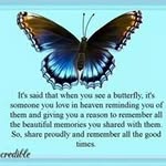 Debbie Trenum Warnick - @warnickdebbie - Instagram
