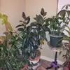 debbiewashington311 - @debbiewashington311 - TikTok