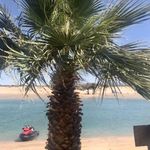 Debbie Wattenbarger - @wattenbargerdebbie - Instagram
