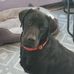 Debbie Weeks - Facebook