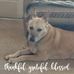 Debbie Westman - Facebook