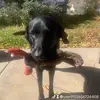 Debbie Westover - @user9112656724408 - TikTok