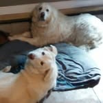 Debbie Whaley - @debbie.whaley12 - Instagram