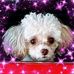 Debbie Whaley - Facebook
