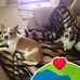 Debra Whitehill - Facebook