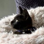 Debbie Whitton - @sunshine_2369 - Instagram