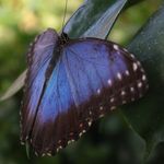 Debbie Whitton - @debbie.whitton.568 - Instagram