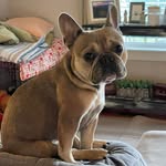 Debbie Vincent Whitwell - @debbie.v.whitwell - Instagram