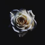 Debbie Wilder - @debbie.wilder.9849 - Instagram