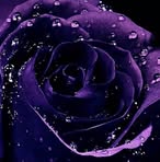 Debbie Wilder - Facebook