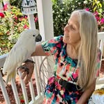 Debbie Wilder Quintero - @debq2015 - Instagram