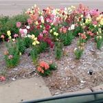Debbie Wilmoth - @wilmoth.debbie - Instagram