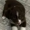 debbie - @debbie.vanwinkle - TikTok