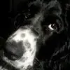 Debbie - @debbiewinkler0 - TikTok