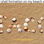Debbie Winkle Robbins - @dwr0772 - Instagram