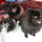 Debbie Winkler - Facebook