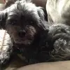 debbiewinkler1 - @debbiewinkler1 - TikTok