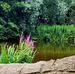 Deb Withers - Facebook