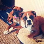 Debbie Withers - @deborahwithers81 - Instagram