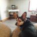 Debbie Withers - Facebook