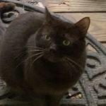 Debbie Withers - @litldeb28 - Instagram