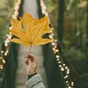 debbie_withers - @debbie_withers - TikTok
