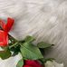 Debbie woods  - Facebook