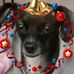 Debbie Wooten - Facebook