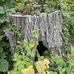 Debbie Wyman - Facebook