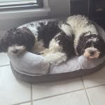 Debbie Wyman-Dupuy - @ddupuy63 - Instagram