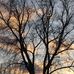 Debbie Pangburn Youngs - Facebook