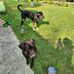 Debbie Youngs - Facebook