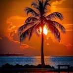 Debby Beck - Facebook