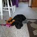 Debby Carter - Facebook