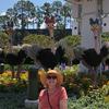 debbycarterhicks - @debbycarterhicks - TikTok