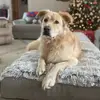 Debbie Cole - @debbie.cole13 - TikTok