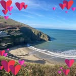 Debbie Curtis - @debbiecurtis3606 - Instagram