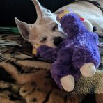 Debby Curtis - Facebook