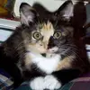 Debby Deryck - @debby.deryck - TikTok