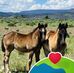 Debby Dulle - Facebook